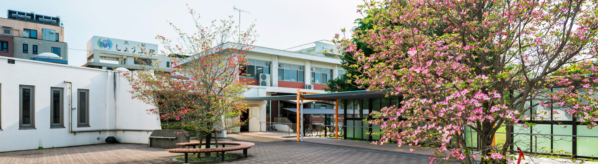 入学案内