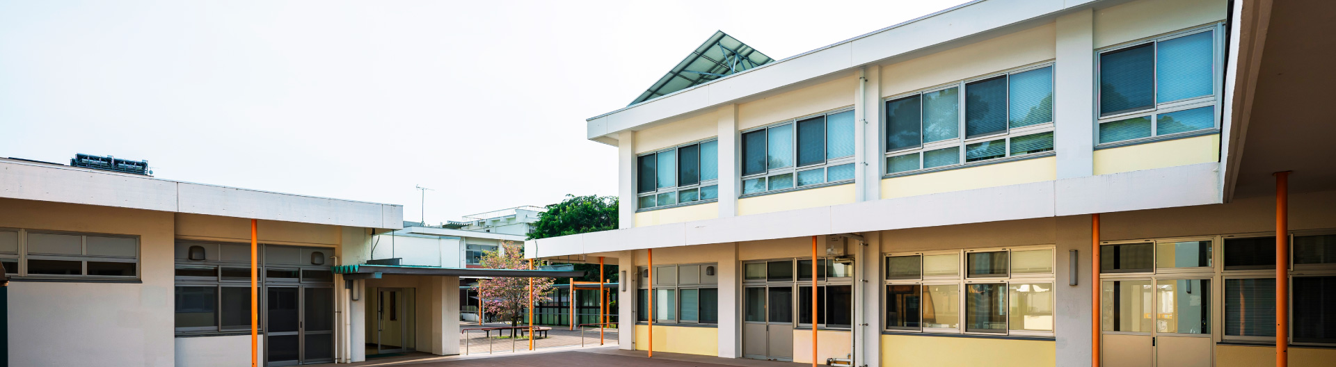 学部案内