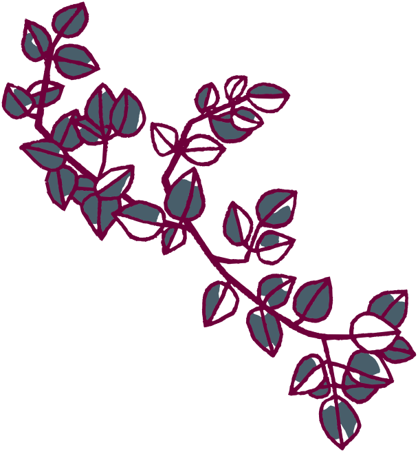 装飾イラスト