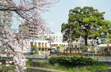 附属幼稚園