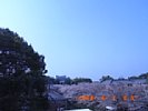 20080401_085740.jpg