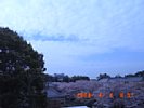 20080404_085740.jpg