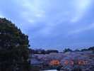 20080405_085740.jpg