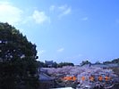 20080408_085740.jpg