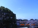 20080411_085740.jpg