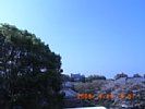 20080414_085740.jpg
