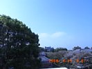 20080415_085740.jpg