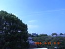 20080419_085740.jpg