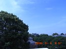20080504_085740.jpg