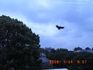 20080514_085740.jpg