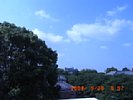 20080520_085740.jpg