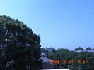 20080527_085740.jpg