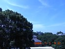 20080701_091203.jpg