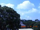 20080708_091203.jpg