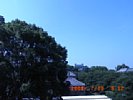 20080710_091203.jpg