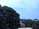 20080711_091203.jpg