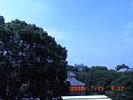 20080715_091203.jpg