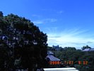 20080717_091203.jpg