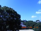 20080720_091203.jpg