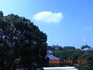 20080723_091203.jpg