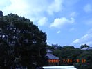 20080724_091203.jpg