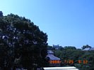 20080725_091203.jpg
