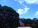 20080728_091203.jpg