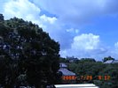 20080729_091203.jpg
