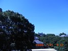 20080731_091203.jpg