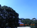 20080801_091203.jpg