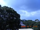 20080802_091203.jpg