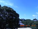 20080803_091203.jpg