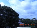 20080804_091203.jpg
