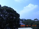 20080805_091203.jpg