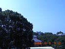 20080806_091203.jpg