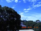 20080811_091203.jpg