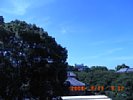 20080813_091203.jpg