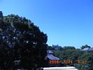20080814_091203.jpg
