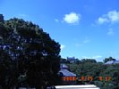 20080815_091203.jpg