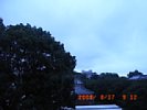 20080817_091203.jpg