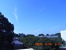 20080826_085103.jpg