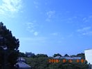 20080906_090749.jpg