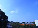 20080908_090749.jpg