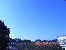 20081015_090749.jpg