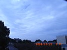 20081025_090749.jpg