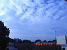 20081029_090749.jpg
