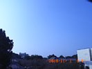 20081101_090749.jpg