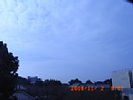 20081102_090749.jpg