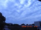 20081111_090749.jpg