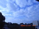 20081114_090749.jpg